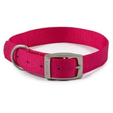 Ancol Viva Buckle Collar, Ancol, 28-36cm