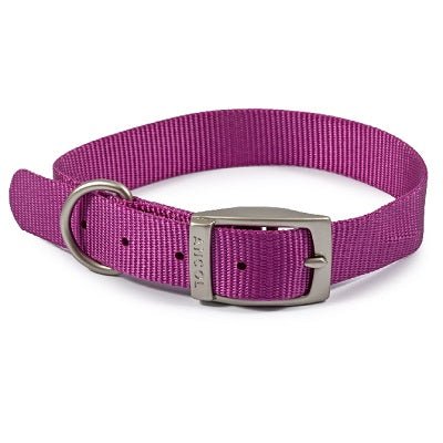 Ancol Viva Buckle Collar, Ancol, 35-43cm