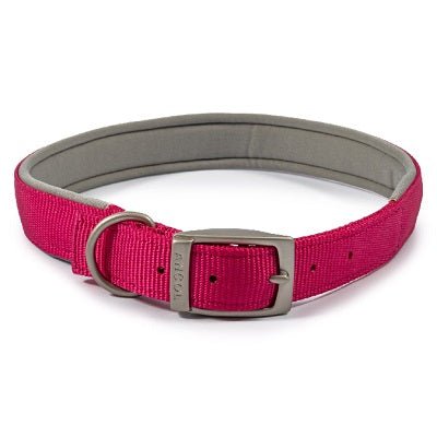 Ancol Viva Padded Buckle Collar, Ancol, L 45-54cm