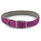 Ancol Viva Padded Buckle Collar, Ancol, L 45-54cm