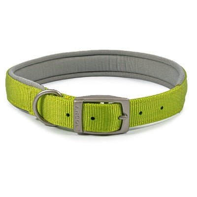 Ancol Viva Padded Buckle Collar, Ancol, M 39-28cm