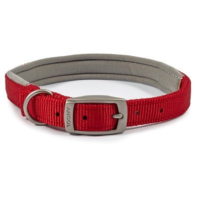 Ancol Viva Padded Buckle Collar, Ancol, M 39-28cm