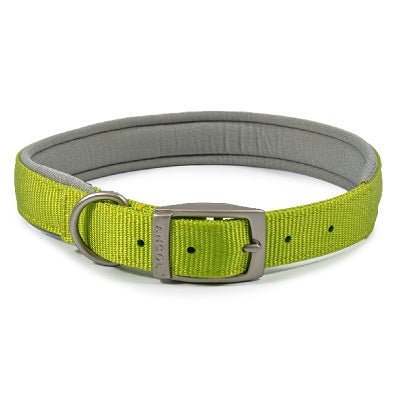 Ancol Viva Padded Buckle Collar, Ancol, S/M 35-43cm