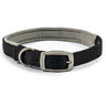 Ancol Viva Padded Buckle Collar, Ancol, S/M 35-43cm