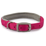 Ancol Viva Padded Buckle Collar, Ancol, S/M 35-43cm