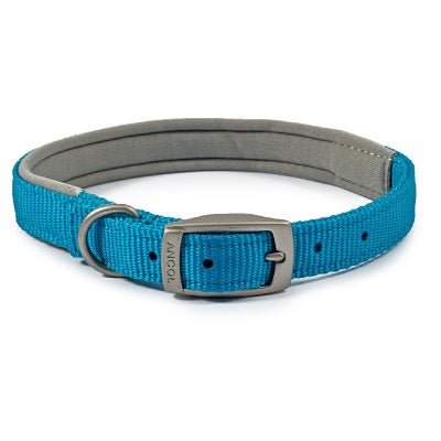 Ancol Viva Padded Buckle Collar, Ancol, S/M 35-43cm