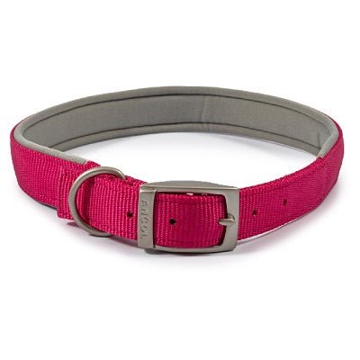 Ancol Viva Padded Buckle Collar, Ancol, XL 50-59cm