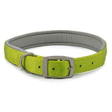 Ancol Viva Padded Buckle Collar, Ancol, XL 50-59cm