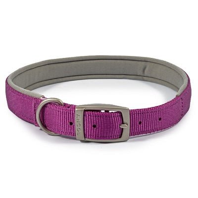 Ancol Viva Padded Buckle Collar, Ancol, XL 50-59cm