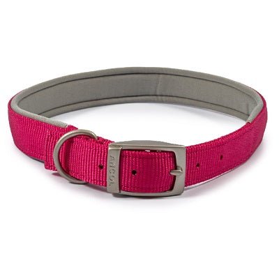 Ancol Viva Padded Buckle Collar, Ancol, XXL 55-63cm