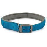 Ancol Viva Padded Buckle Collar, Ancol, XXL 55-63cm