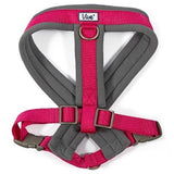 Ancol Viva Padded Dog Harness, Ancol, L 52-71cm