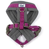 Ancol Viva Padded Dog Harness, Ancol, M 41-53cm