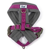 Ancol Viva Padded Dog Harness, Ancol, S 36-42cm