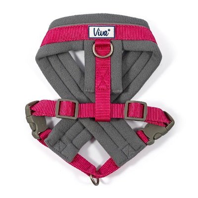 Ancol Viva Padded Dog Harness, Ancol, S 36-42cm