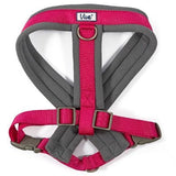 Ancol Viva Padded Dog Harness, Ancol, XL 70-98cm