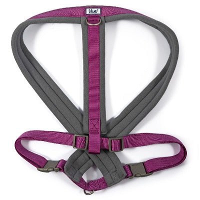 Ancol Viva Padded Dog Harness, Ancol, XXL 97-130cm