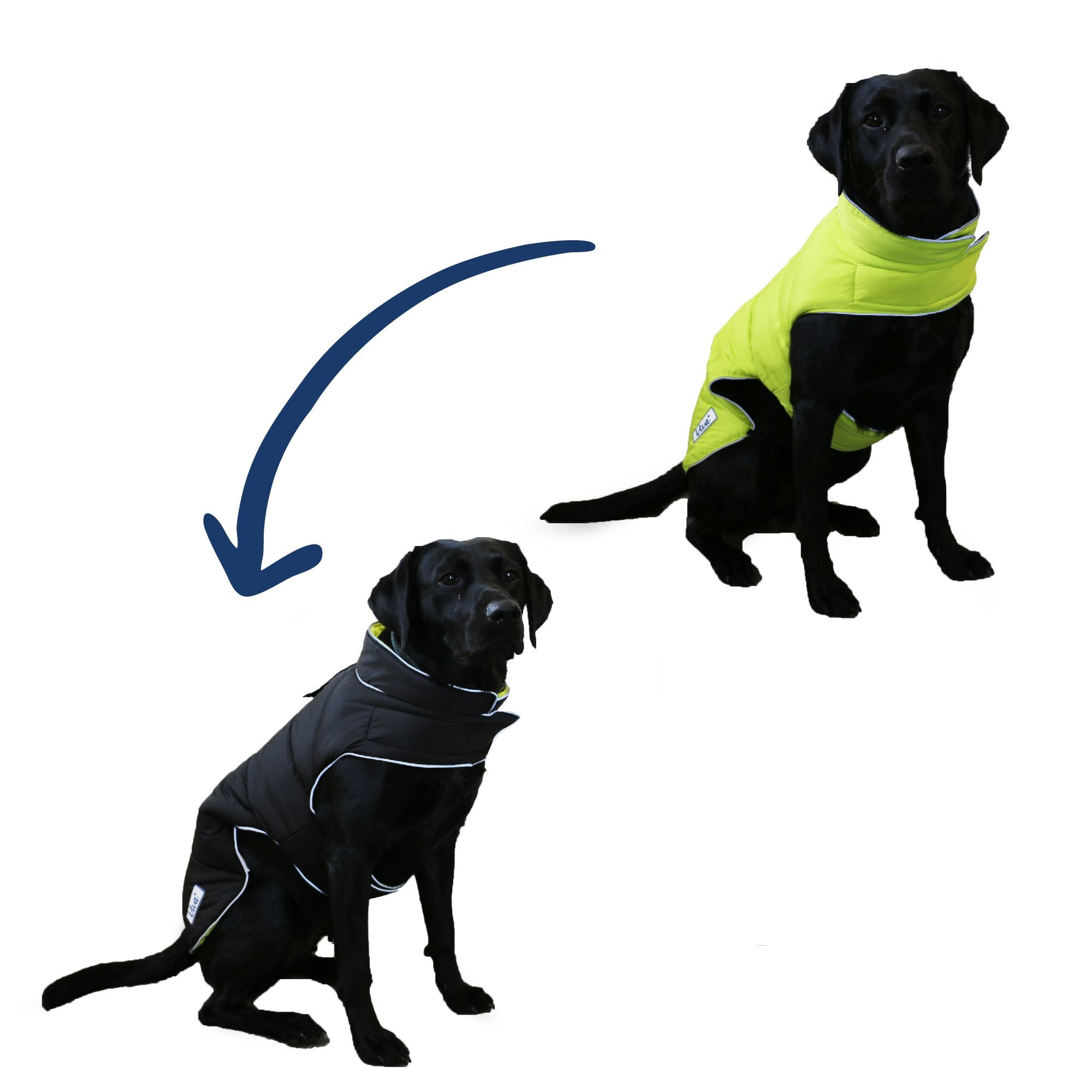 Ancol Viva Reversible Dog Coat Black/Hi-Vis, Ancol, XS - 25cm Length