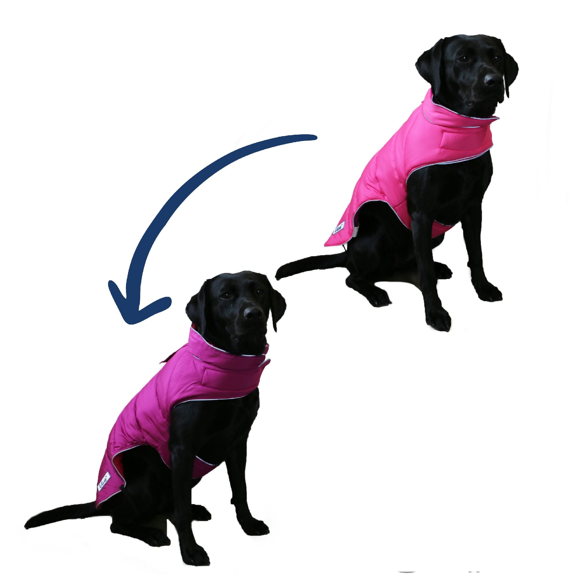 Ancol Viva Reversible Dog Coat Pink/Purple, Ancol, XS - 25cm Length