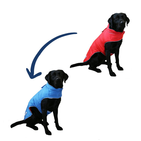 Ancol Viva Reversible Dog Coat Red/Blue, Ancol, L - 50cm Length