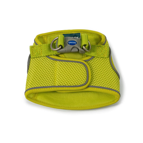 Ancol Viva Step In Dog Harness, Ancol, XS 30-36 cm