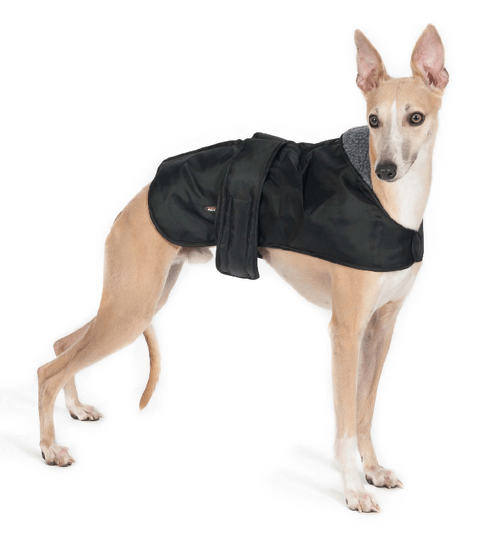 Ancol Whippet Coat Black 53 cm, Ancol,