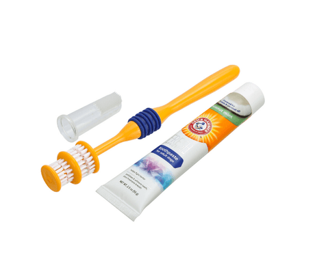 Arm & Hammer Coconut Dental Kit for Dogs, Arm & Hammer,