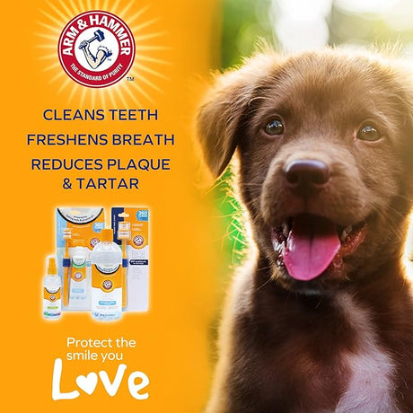 Arm & Hammer Coconut Mint Toothpaste for Puppies, Arm & Hammer,