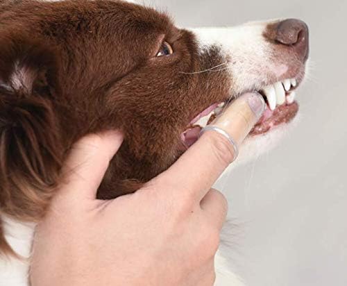 Arm & Hammer Dental Kit for Puppies, Arm & Hammer,