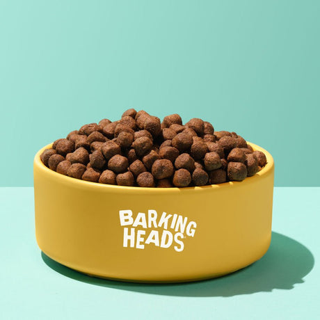 Barking Heads All Hounder Bowl Lickin Goodness Lamb, Barking Heads, 12 kg