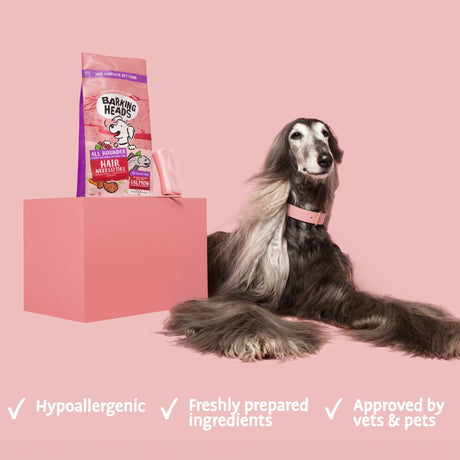 Barking Heads All Hounder Hair Necessities Grain Free Salmon, Barking Heads, 4x2kg