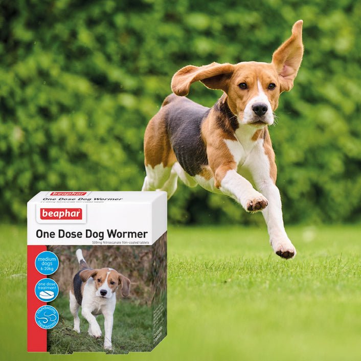 Beaphar One Dose Worming Tablet for Medium Dogs (x6), Beaphar,