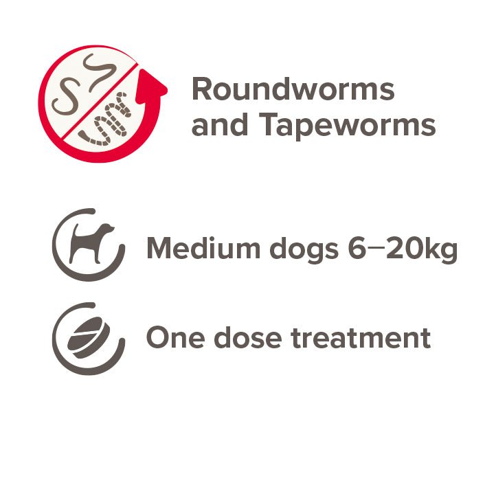 Beaphar One Dose Worming Tablet for Medium Dogs (x6), Beaphar,