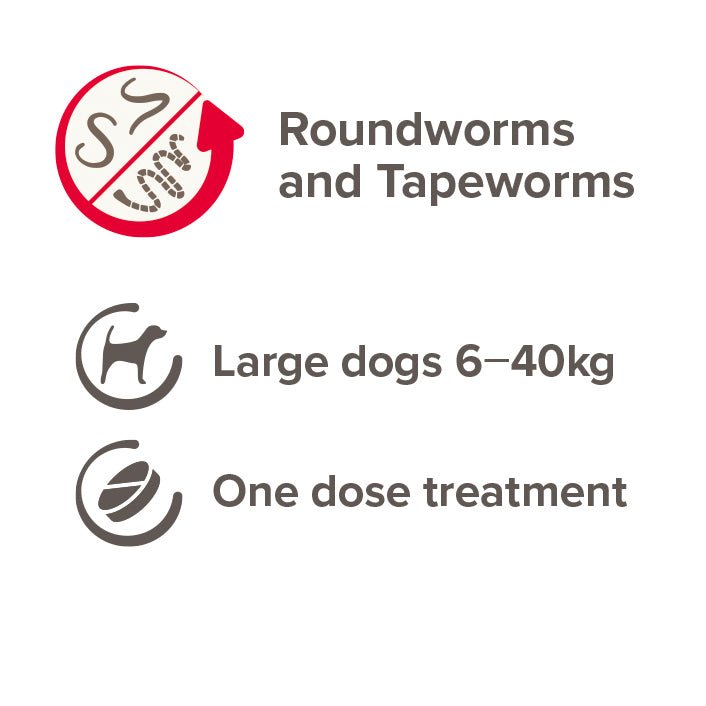 Beaphar One Dose Worming Tablets for Large Dogs (x6), Beaphar,