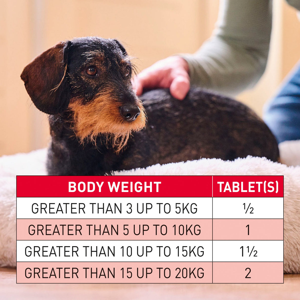 Beaphar WORMclear Worming Tablets for Dogs (up to 20kg) (x6), Beaphar,