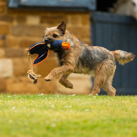 Canvas Duck Thrower Dog Toy Navy | Two-Sizes, House of Paws, Navy