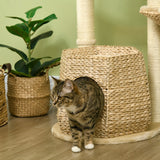 Cat Tree Activity Centre, with Cattail, Bed, Cat House, Sisal Post, Ball - Natural Tone, PawHut,