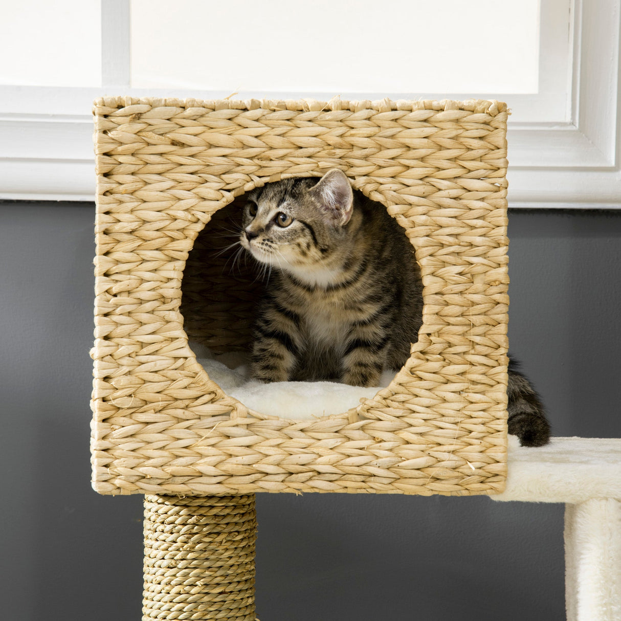 Cat Tree, with Scratching Posts, Bed, Cat House - Natural Finish, PawHut,