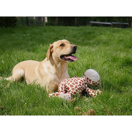 Chubleez Gerry Giraffe Dog Toy, Rosewood,