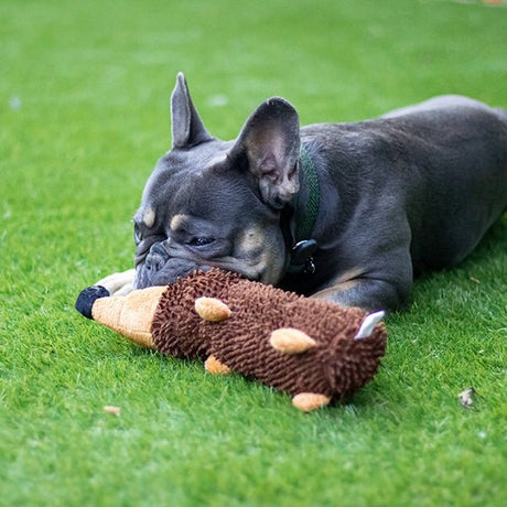 Chubleez Spike the Hedgehog Dog Toy x3, Rosewood,