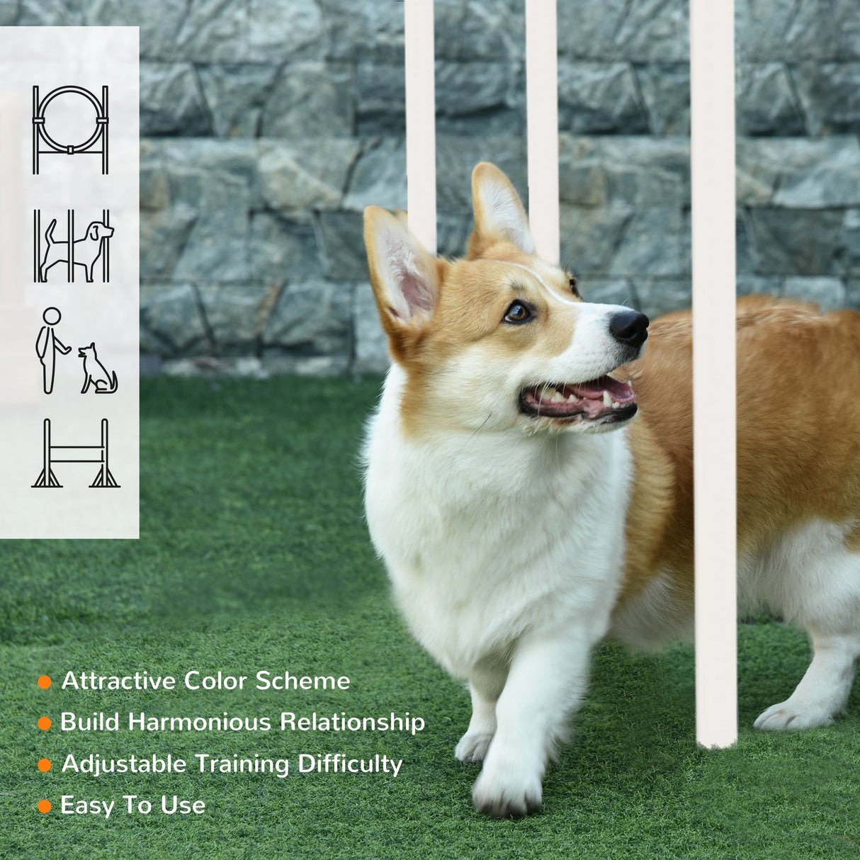 Complete Dog Agility Training Set with Portable Bag, PawHut,