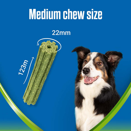 Dentalife Activfresh Medium Breed Dog Dental Chews 2x (48 Sticks), DentaLife,