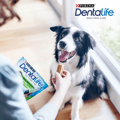 Dentalife Medium Breed Dog Dental Chews 2x42 (84 Sticks), DentaLife,