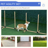 Dog Agility Training Equipment w/ Weaves, Whistle and Carrying Bag, PawHut,