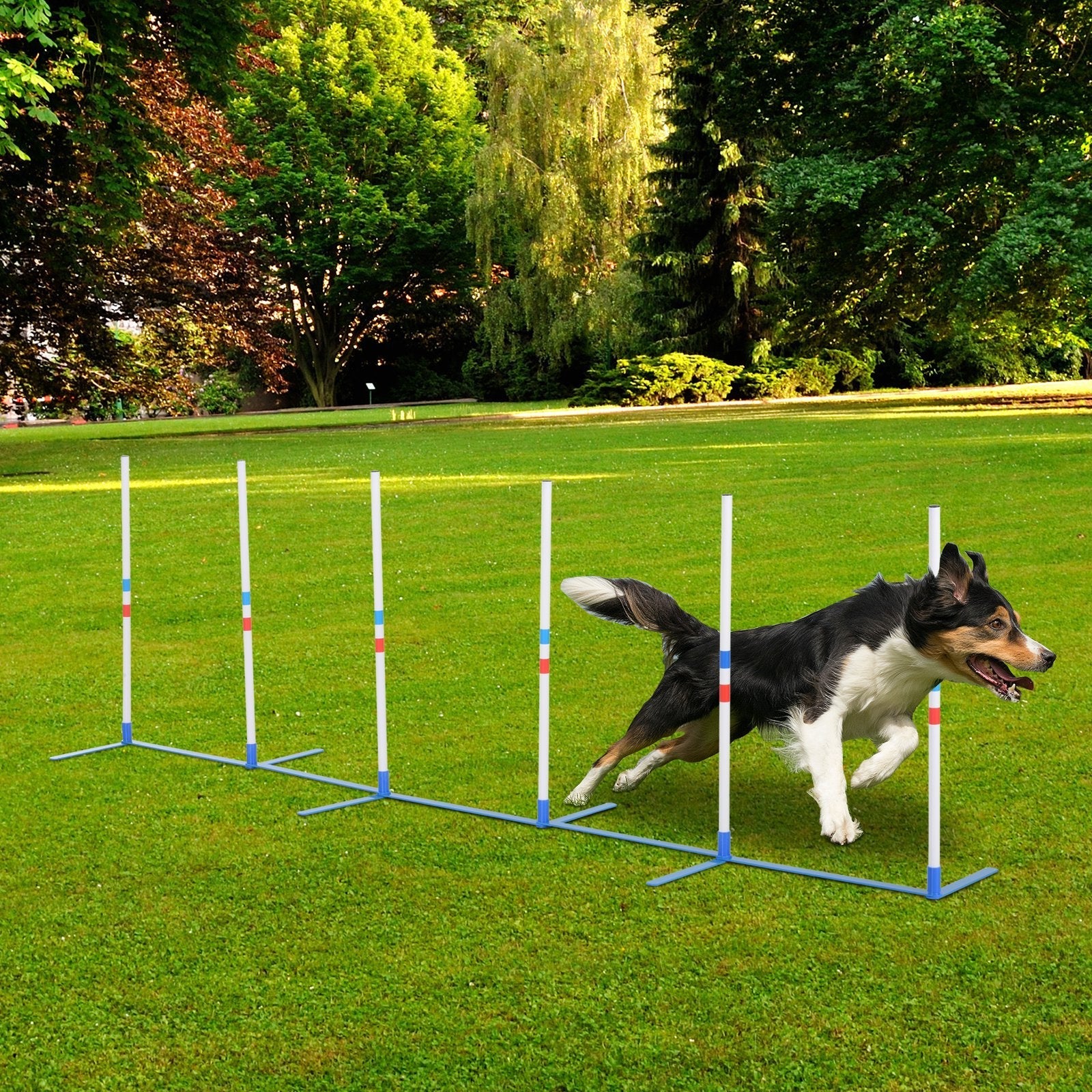 Dogs Agility Training Polyethylene Weave Poles, PawHut,