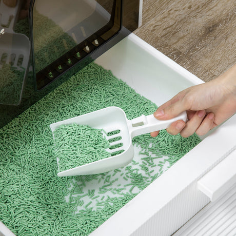 Enclosed Cat Litter Box with Filter, Scoop, and Tray - Ideal for Small Cats, PawHut, White