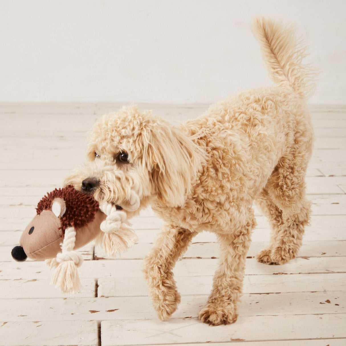 FatFace Brown Hedgehog Dog Toy, FatFace,