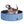 Foldable Dog Paddling Pool(Φ100 x 30H cm), PawHut, Blue