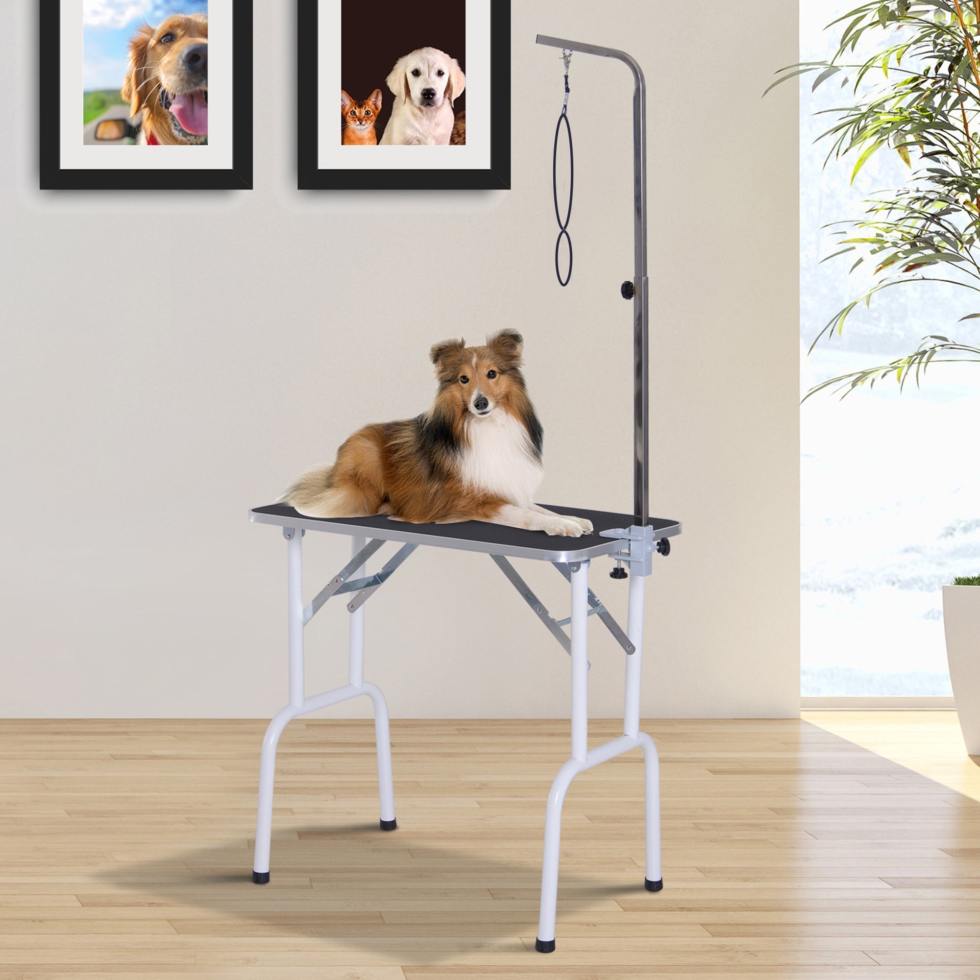 Folding Pet Grooming Table for Small Dogs with Adjustable Grooming Arm Max Load 30 KG, 81x48.5x80 cm, PawHut,