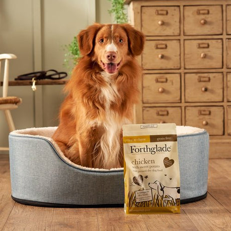 Forthglade Cold Pressed Chicken Natural Grain Free Dry Dog Food, Forthglade, 10 kg